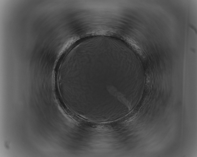 X0000091670678200709201220