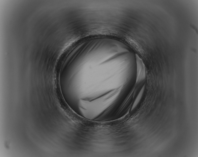 X0000091670680200709201220