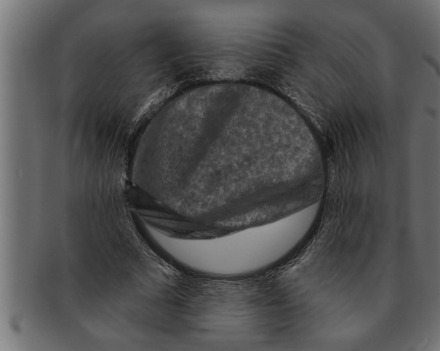 X0000091670681200709201220