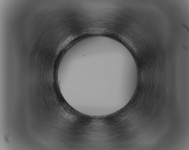 X0000091670682200709201220