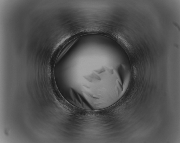 X0000091670684200709201220