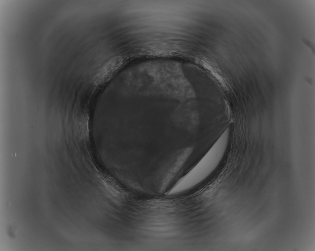 X0000091670685200709201220