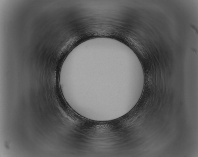 X0000091670686200709201220