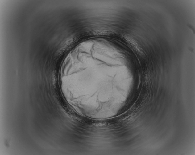 X0000091670687200709201220