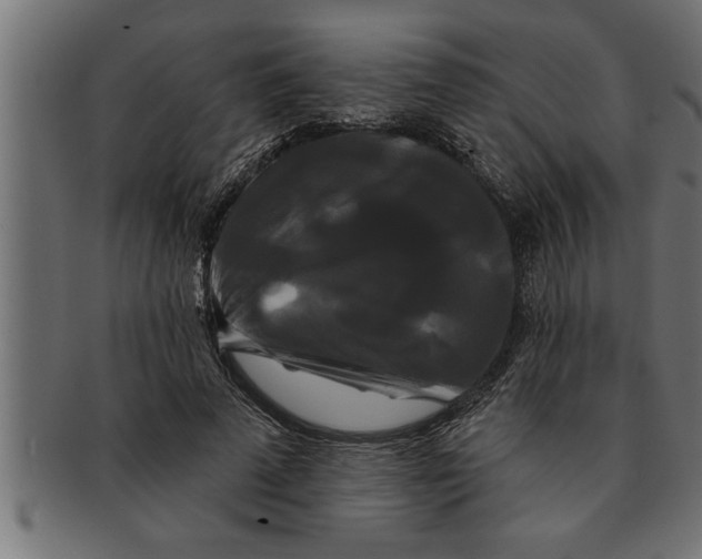 X0000091670689200709201220