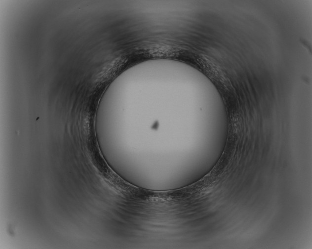 X0000091670690200709201220