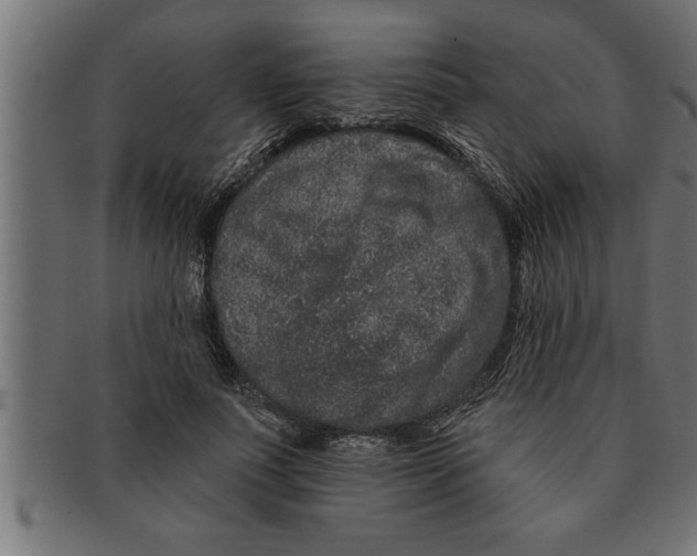 X0000091670691200709201220