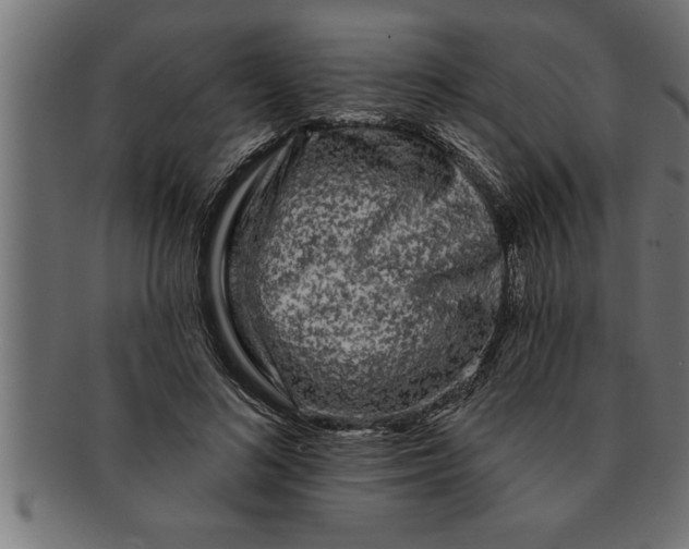 X0000091670692200709201220