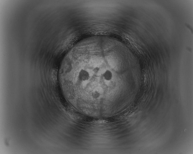 X0000091670695200709201220