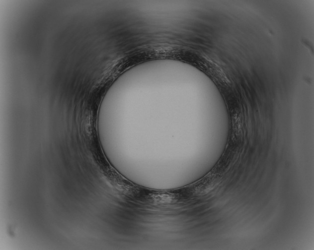 X0000091670698200709201220