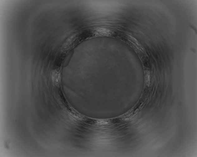 X0000091670701200709201220