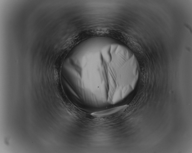 X0000091670704200709201220