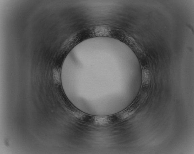 X0000091670705200709201220