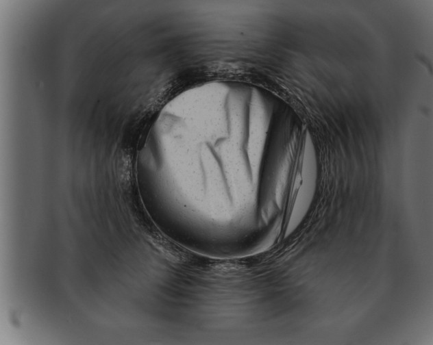 X0000091670708200709201220