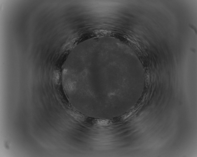 X0000091670709200709201220