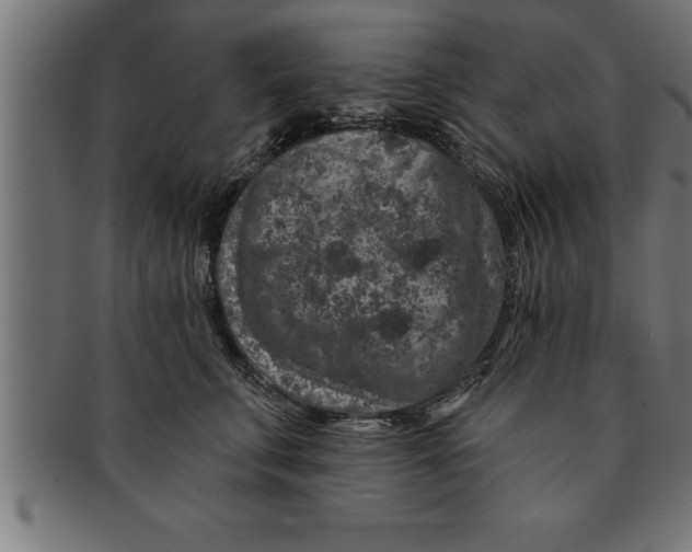 X0000091670711200709201219