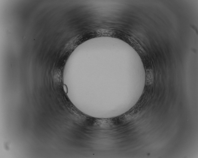 X0000091670713200709201219