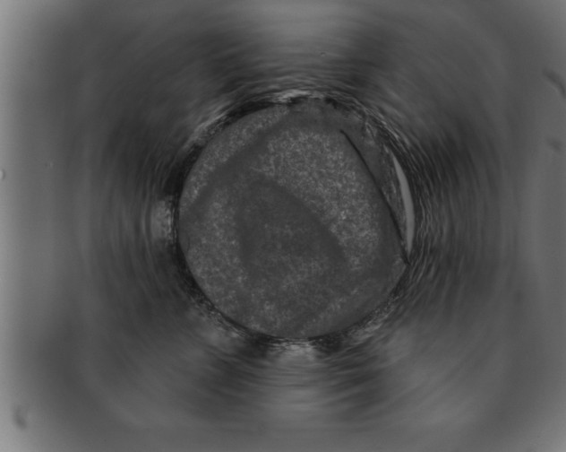 X0000091670715200709201219