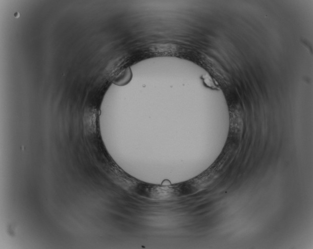 X0000091670717200709201219