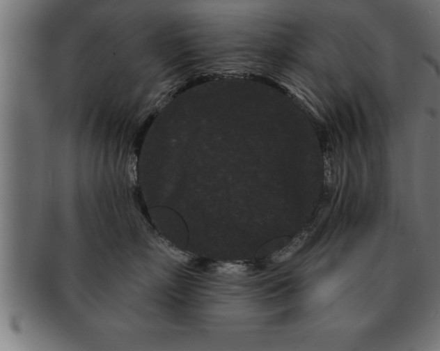 X0000091670718200709201219