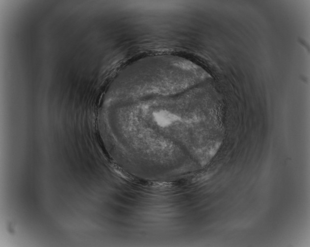 X0000091670720200709201219