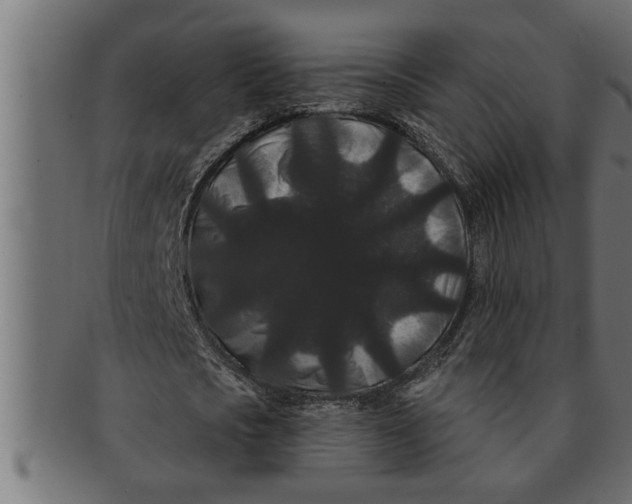 X0000091670721200709201219