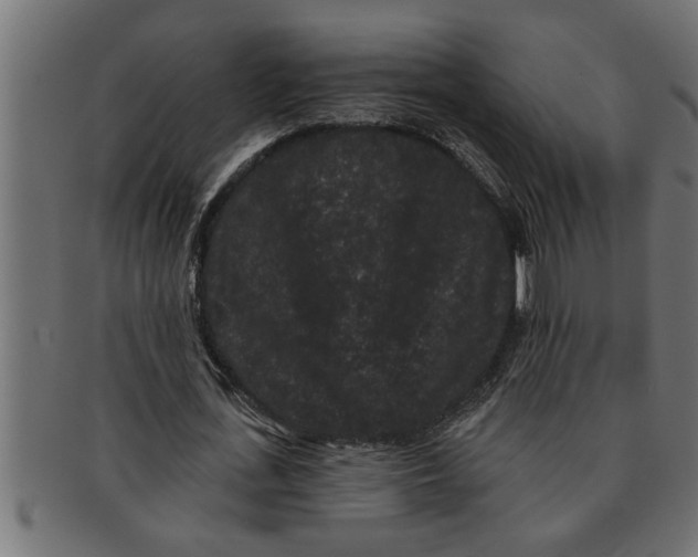 X0000091670723200709201219