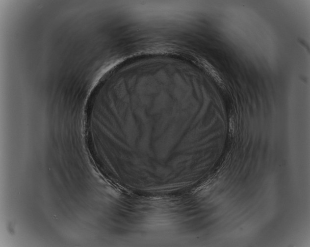 X0000091670724200709201219