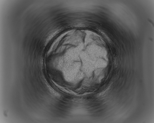 X0000091670725200709201219