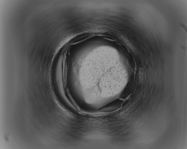 X0000091670726200709201219