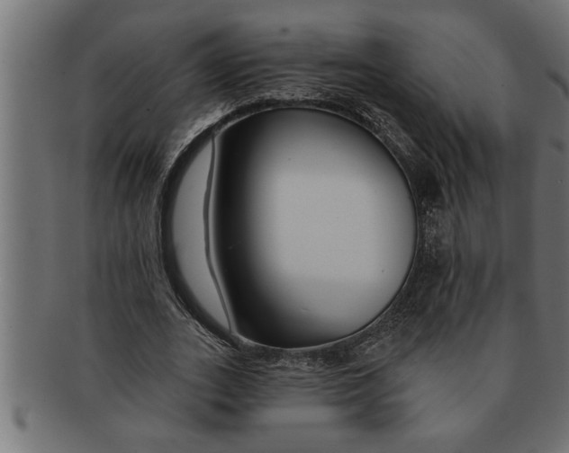 X0000091670727200709201219