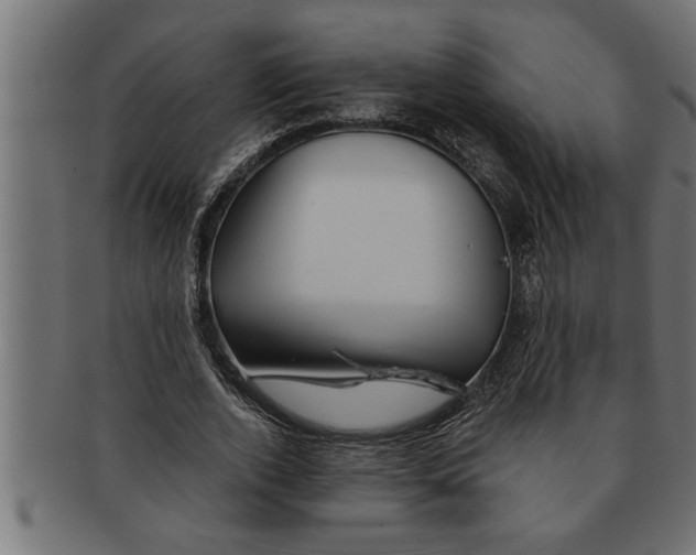 X0000091670728200709201219