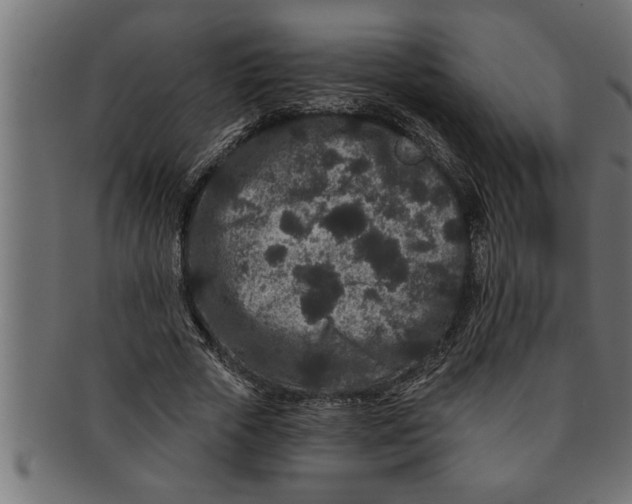 X0000091670729200709201219