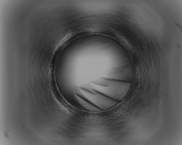 X0000091670730200709201219