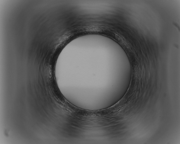 X0000091670731200709201219