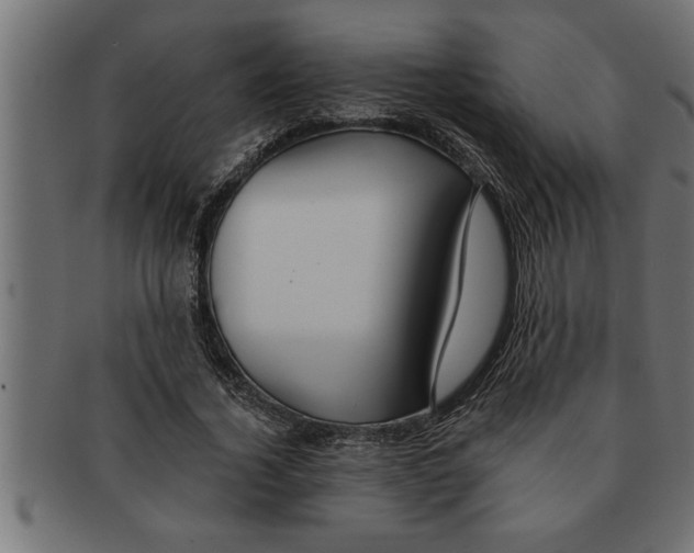 X0000091670732200709201219