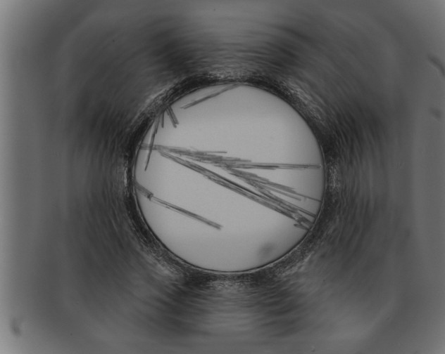 X0000091670733200709201219
