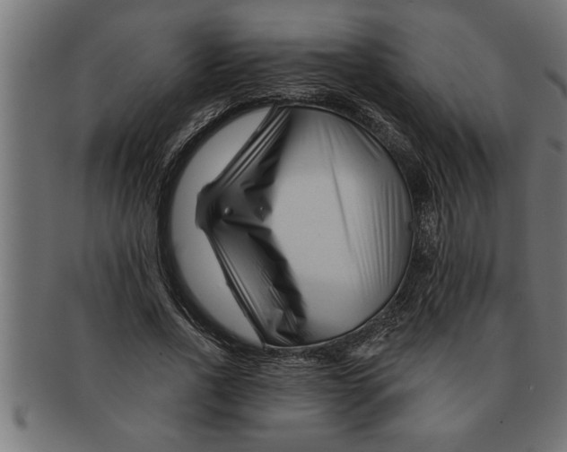 X0000091670734200709201219