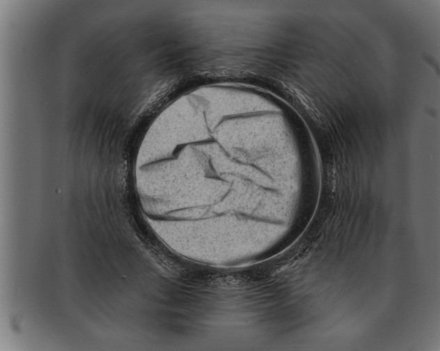 X0000091670735200709201219