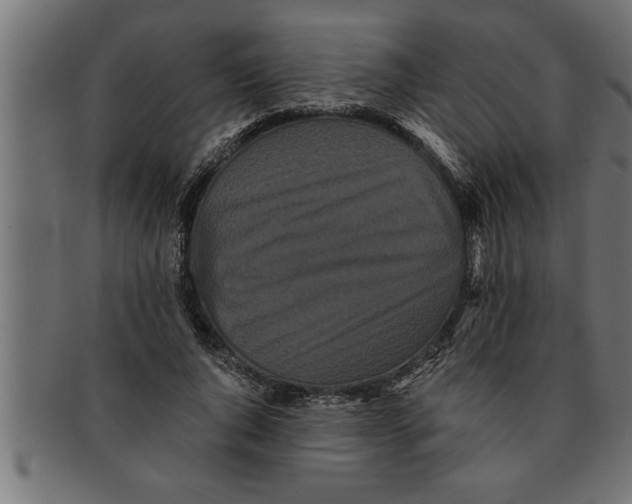 X0000091670736200709201219