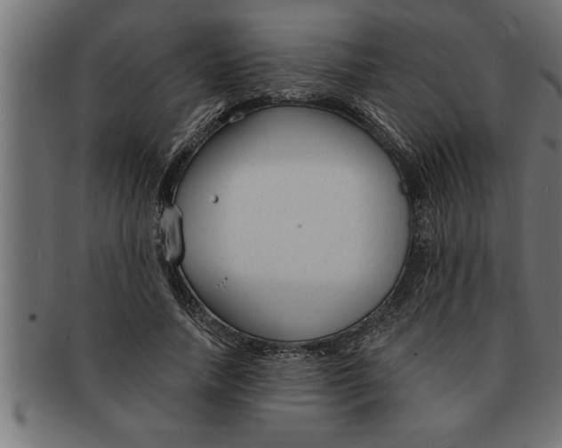 X0000091670738200709201219