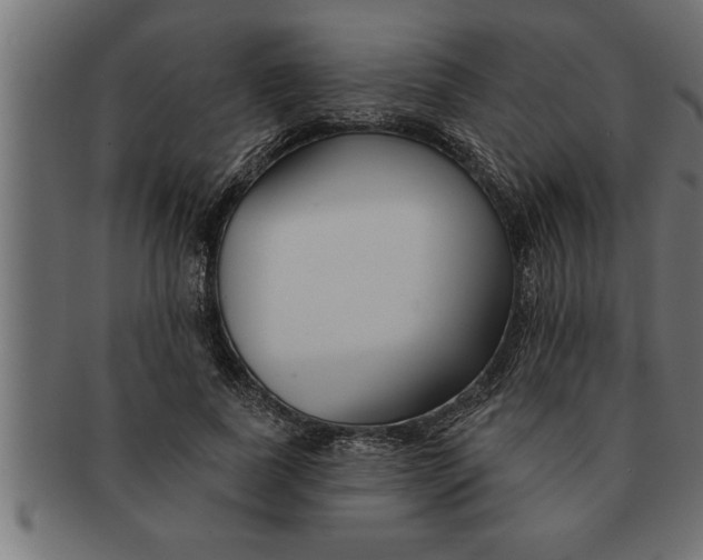 X0000091670739200709201219