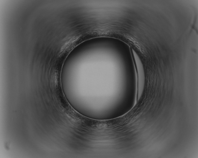 X0000091670740200709201219