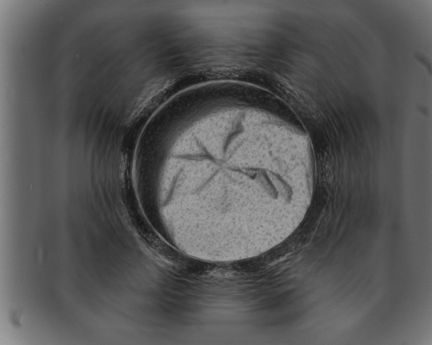 X0000091670742200709201219