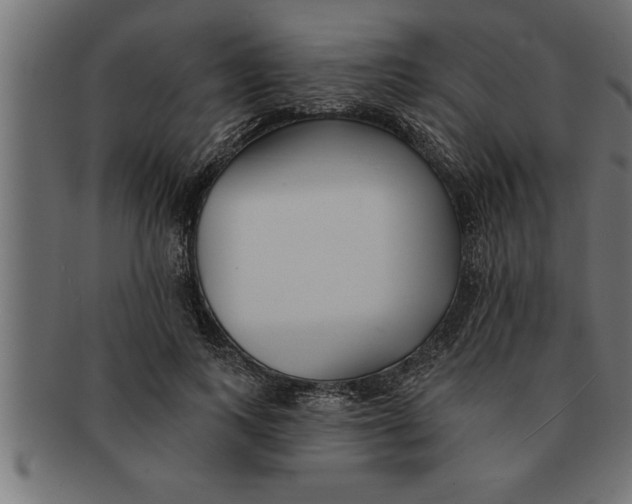 X0000091670743200709201219