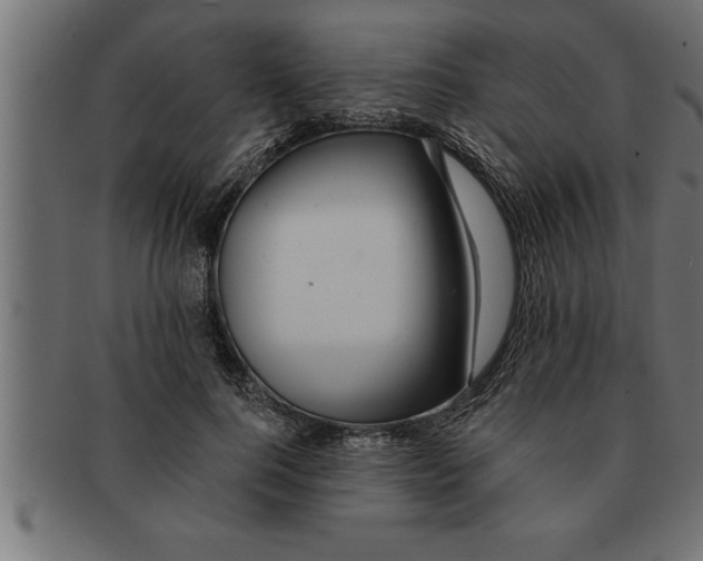 X0000091670744200709201219