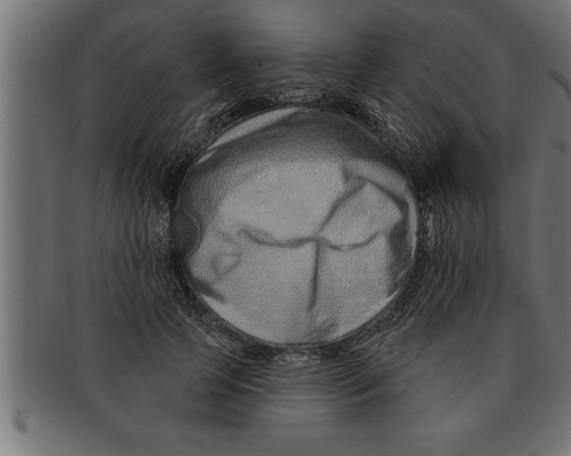 X0000091670745200709201219