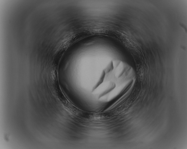 X0000091670746200709201219