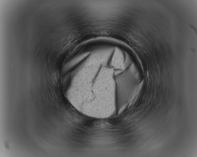 X0000091670747200709201219