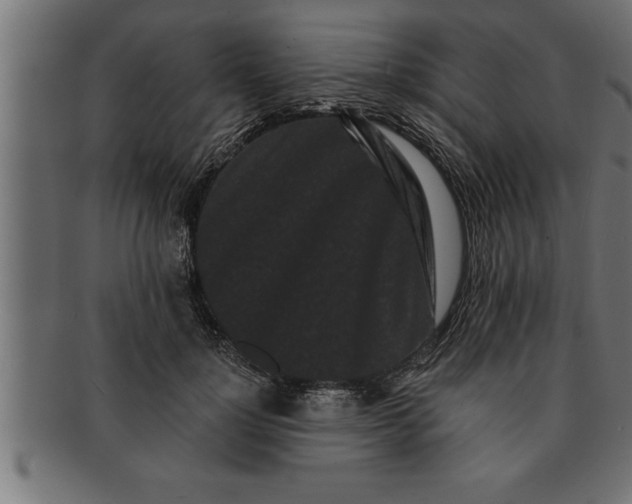 X0000091670748200709201219